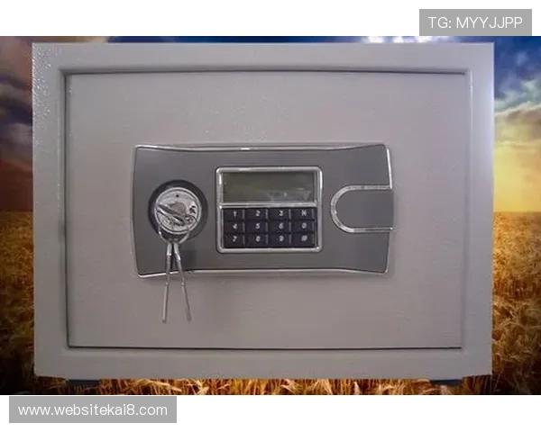 K8凯发app网址常见问题解答及安全防护措施,保障玩家账号安全与游戏体验顺畅 K8凯发app网址常见问题解答及安全防护措施,保障玩家账号安全与游戏体验顺畅